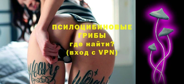 ГАЛЛЮЦИНОГЕННЫЕ ГРИБЫ Киренск