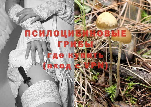 ГАЛЛЮЦИНОГЕННЫЕ ГРИБЫ Киренск