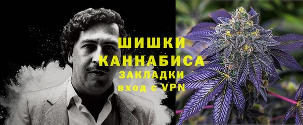 ГАЛЛЮЦИНОГЕННЫЕ ГРИБЫ Киренск